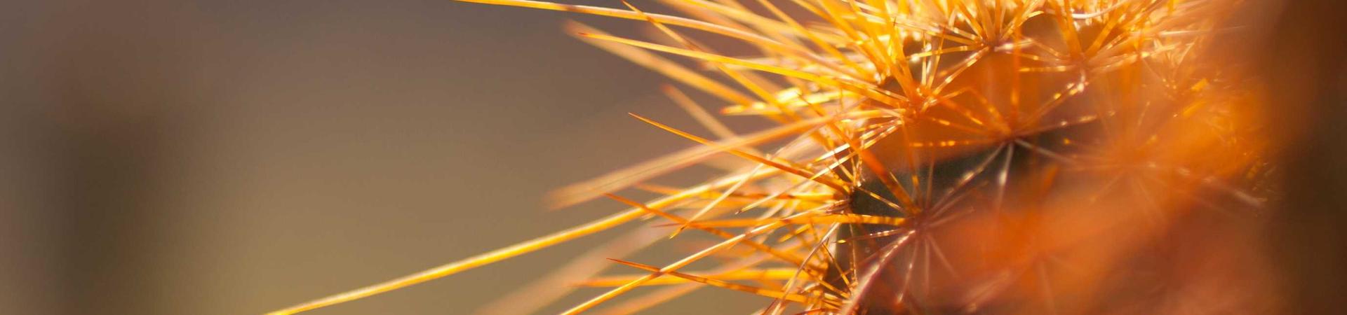福州优而惠塑料制品有限公司 &middot; 宜昌服务中心